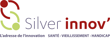 logo silver innov